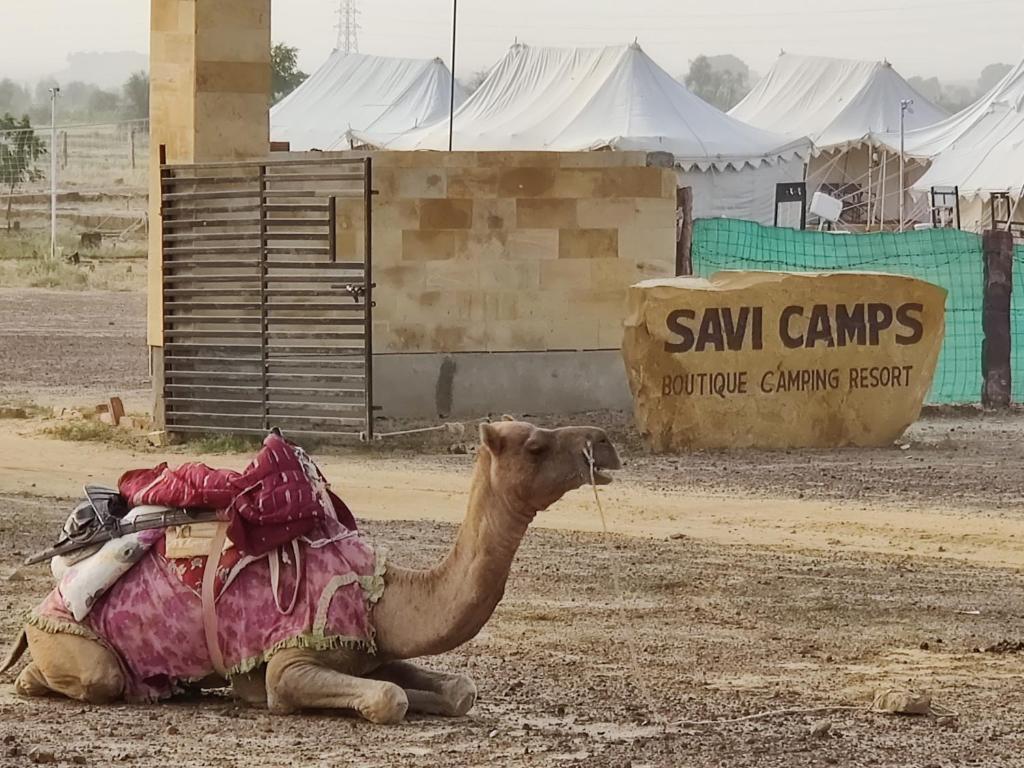 Fotografie z fotogalerie ubytování Savi Camps Jaisalmer v destinaci Sām