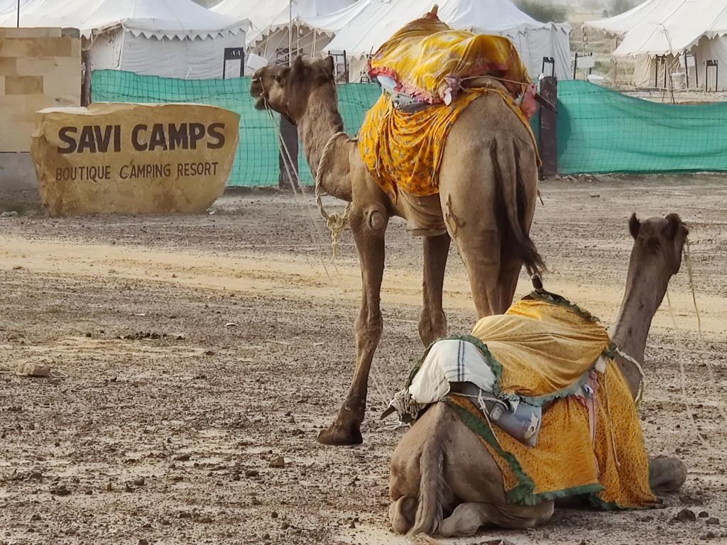 Fotografie z fotogalerie ubytování Savi Camps Jaisalmer v destinaci Sām