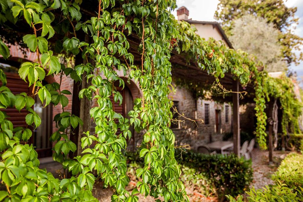 A garden outside Villa Norcenni ApartHotel
