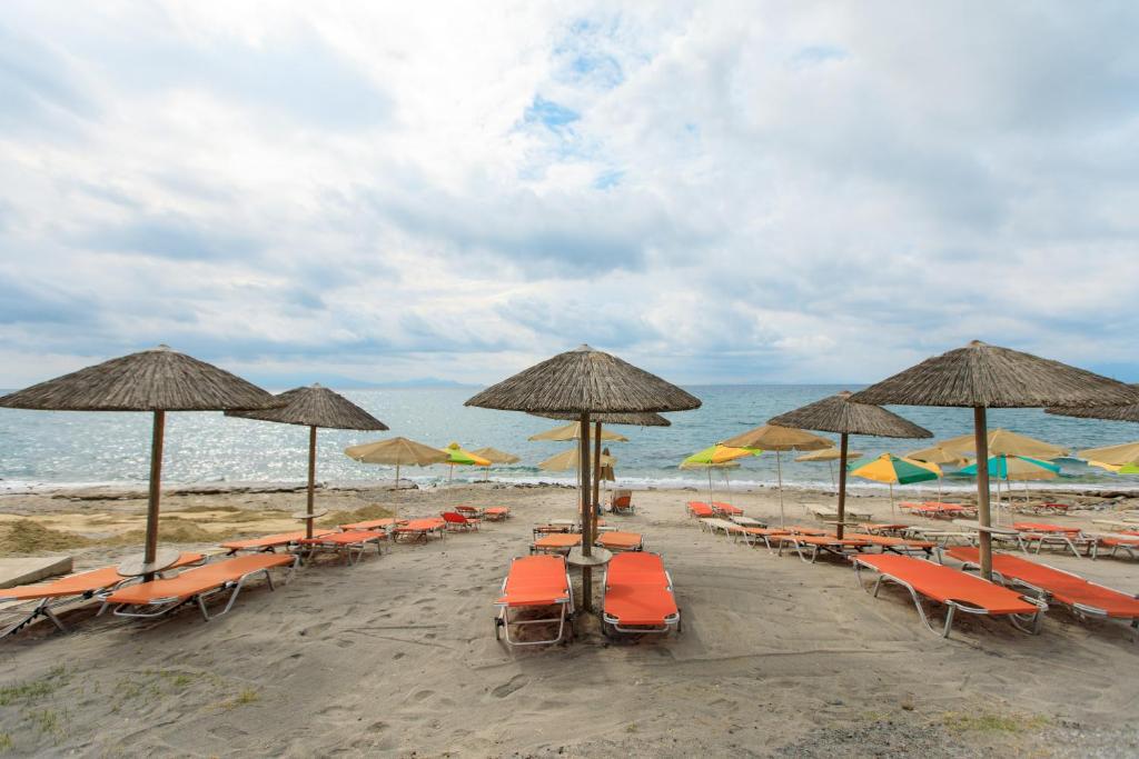 Příroda nedaleko hotelu