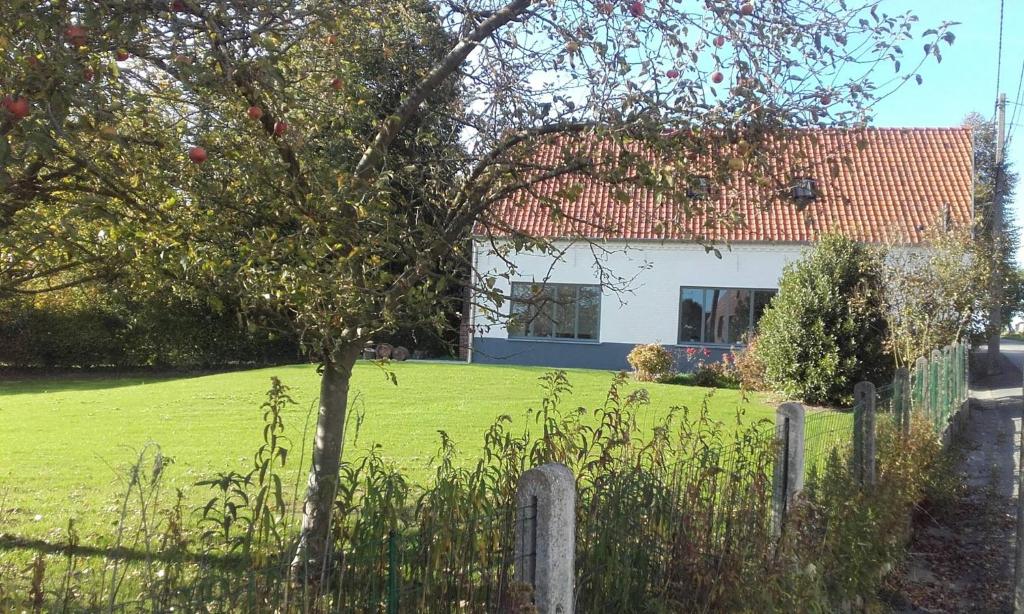 a house in a field with a tree and a fence at De Bossenaarshoeve in Maarkedal