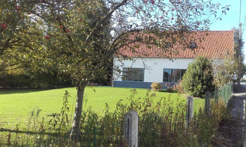 una casa en un campo con un árbol y una valla en De Bossenaarshoeve, en Maarkedal