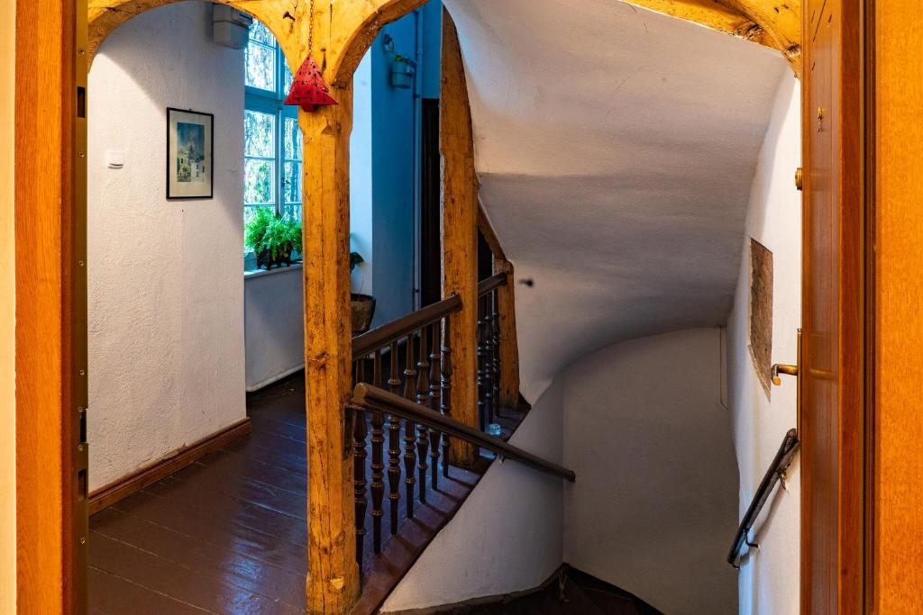 Cocorico Apartments - 11