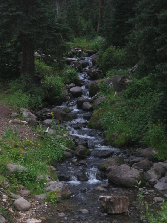 a stream of water with rocks in a forest at Alpine Inn in Pagosa Springs