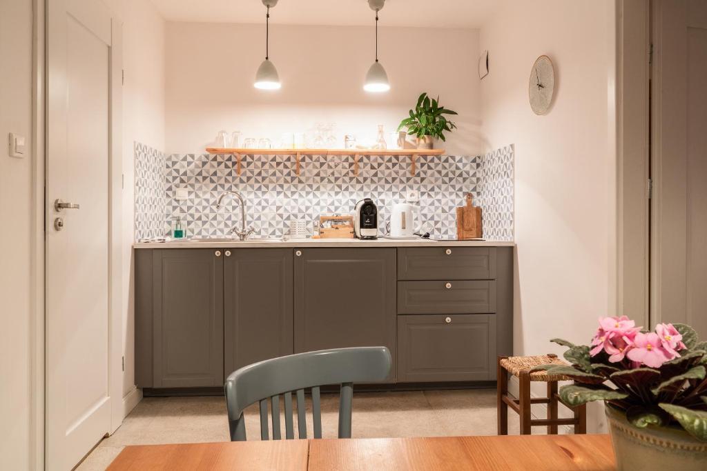 Kuchyň nebo kuchyňský kout v ubytování Cocorico Apartments