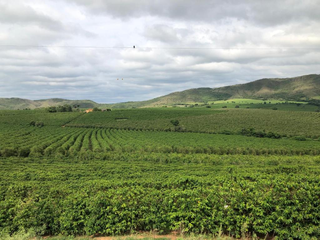  Fazenda Alto Alegre