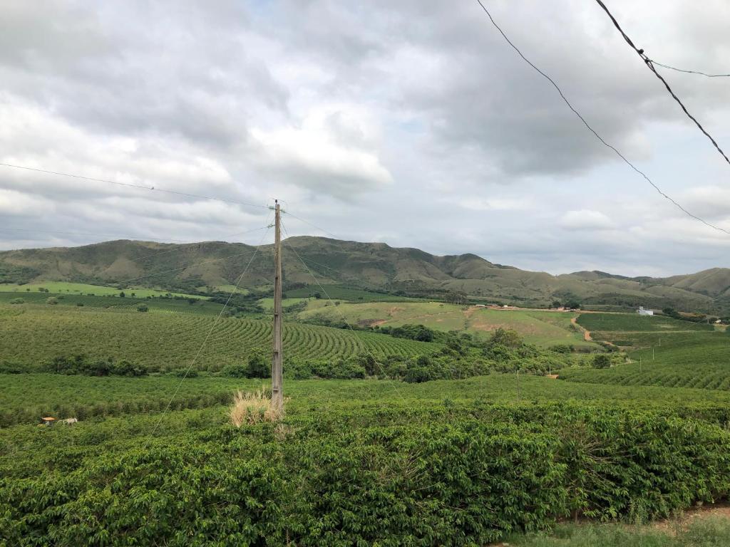  Fazenda Alto Alegre
