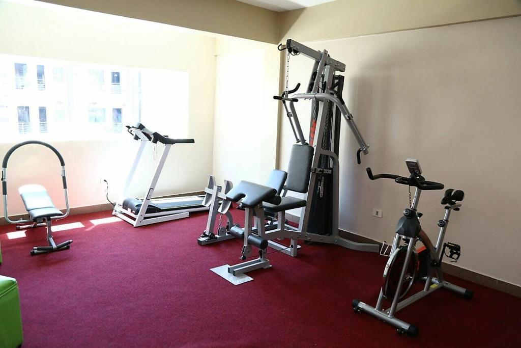 Fitness centrum a/nebo fitness zařízení v ubytování Arthur Palace Hotel