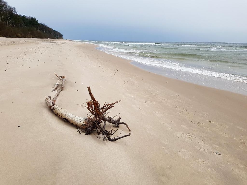 Příroda nedaleko prázdninového domu