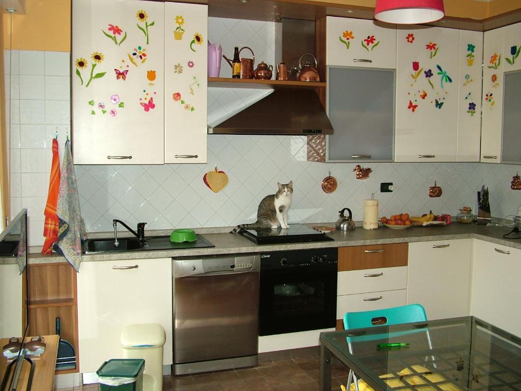 a kitchen with a cat sitting on the counter at Casa Amadi 2 - La tua casa lontano da casa in Brescia
