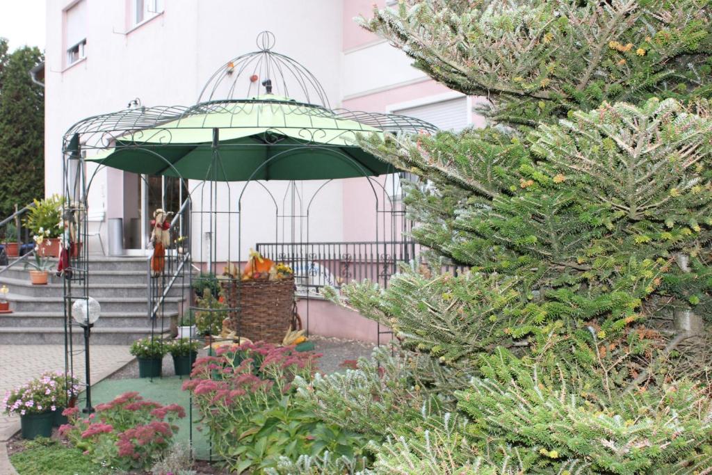 Zahrada ubytování Hotel Kirchner