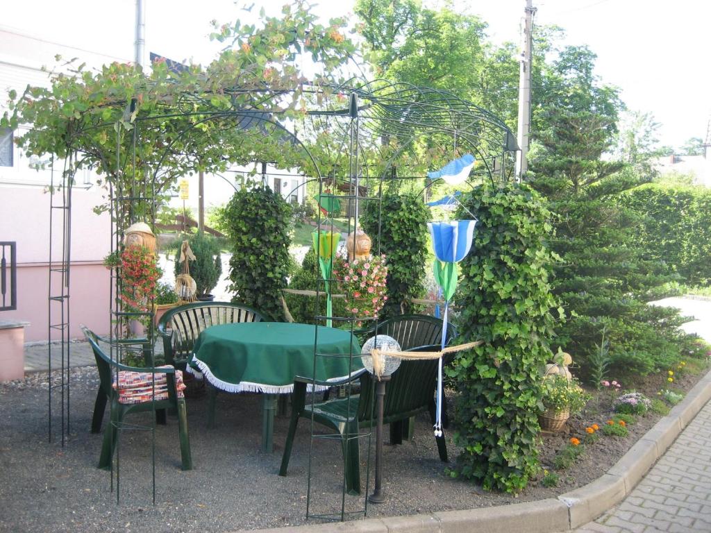 Zahrada ubytování Hotel Kirchner