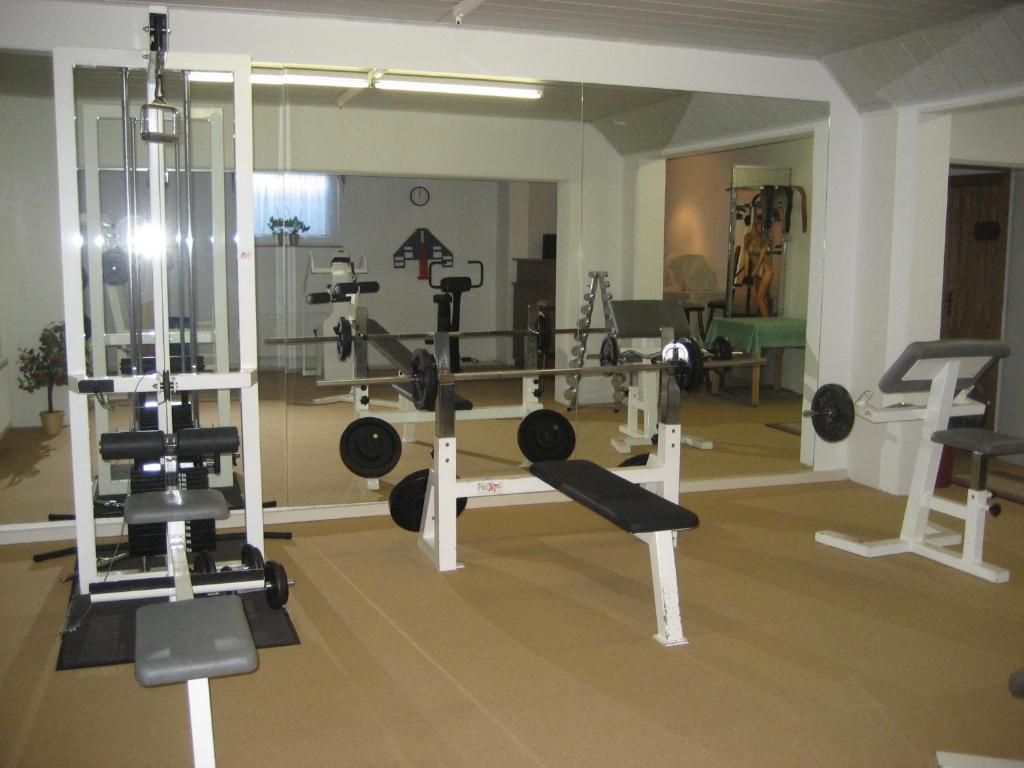 Fitness centrum a/nebo fitness zařízení v ubytování Hotel Kirchner