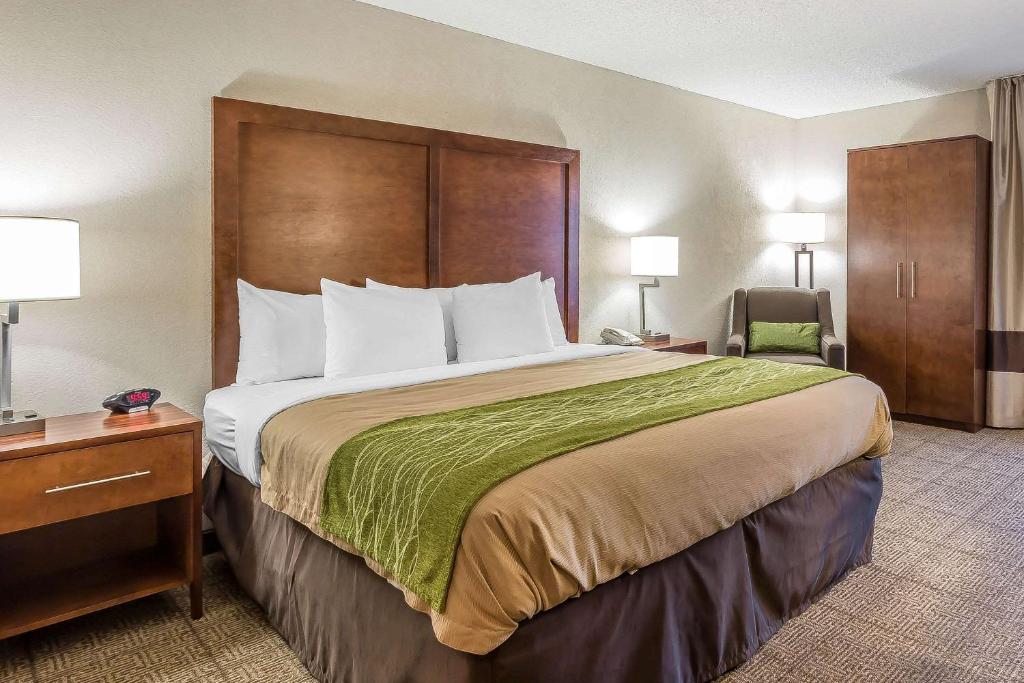 Quality Inn Summerville-Charleston - Chambre Lit King-Size - Non-Fumeurs