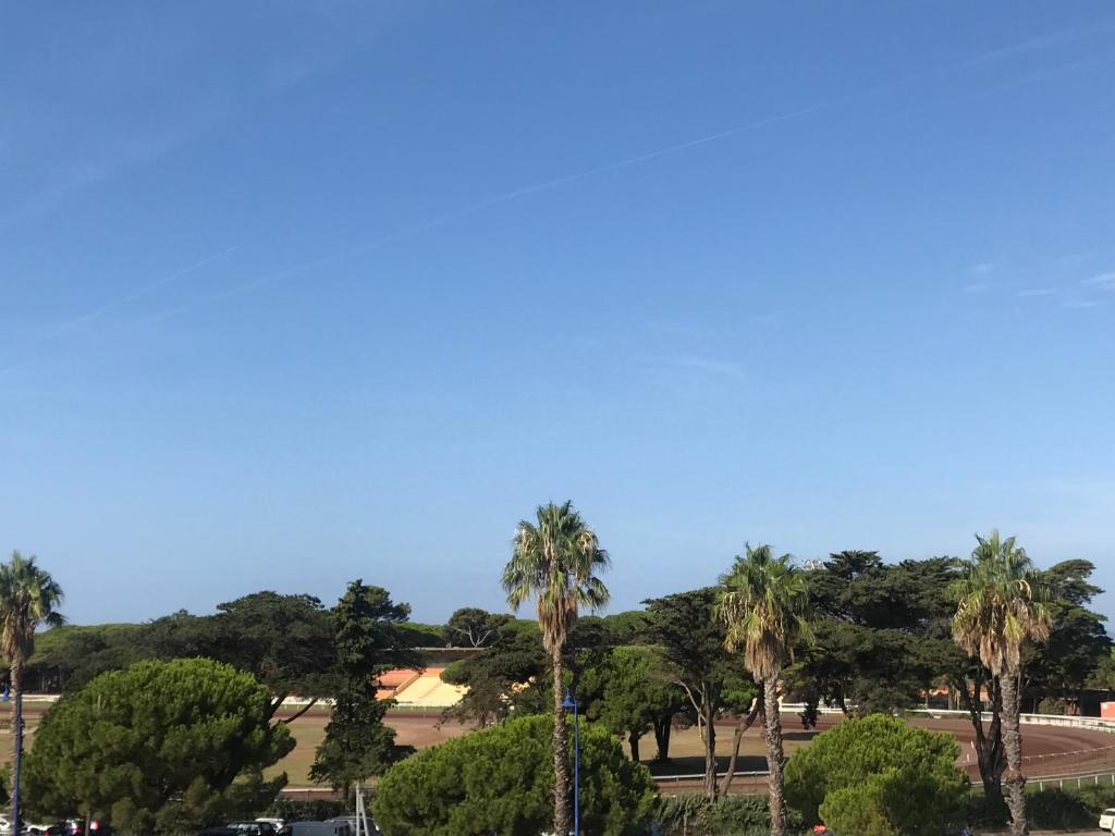 un groupe de palmiers dans un parc dans l'établissement Maison Loubière, à Hyères