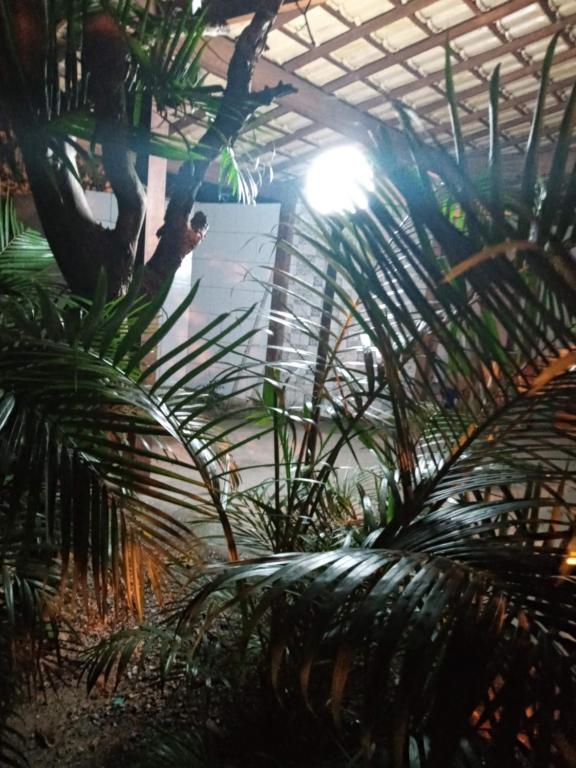  Casa para família se divertir