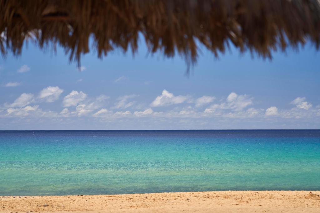 a view of the ocean from a straw umbrella on a beach at Hotel Porto Santo & Spa in Porto Santo