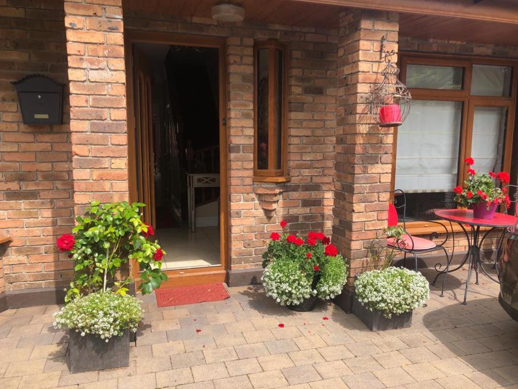 a brick house with flowers in front of a door at Beechtree House in Dublin