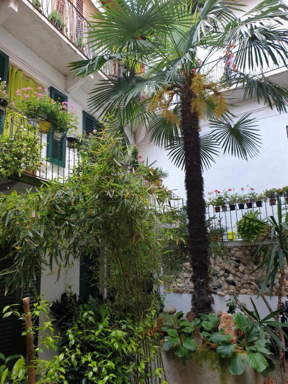 Zahrada ubytování La Casa di Daniele