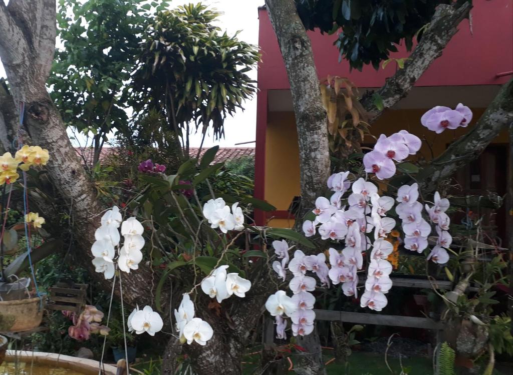 Pousada Bromélias