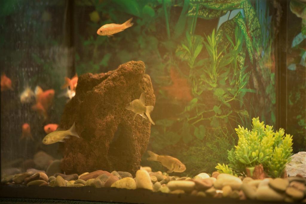 Hotel Potenza - Resim 15