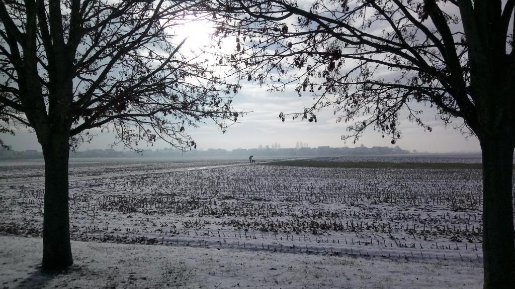 A l Ombre des Catalpas v zimě