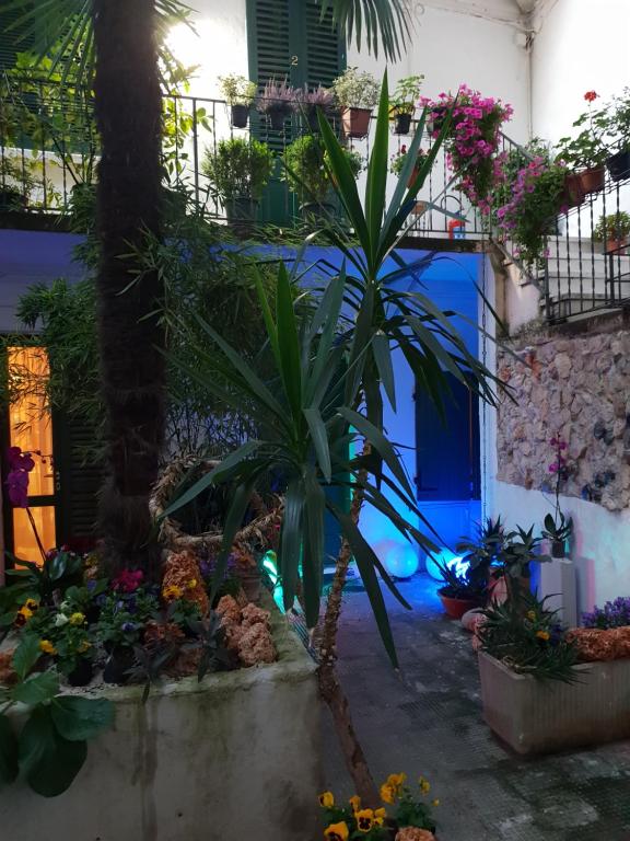 Zahrada ubytování La Casa di Daniele