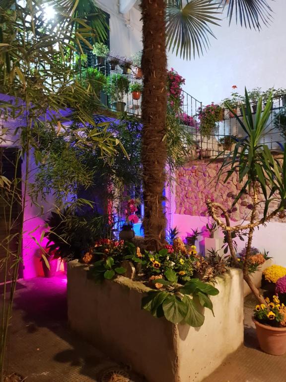 Zahrada ubytování La Casa di Daniele