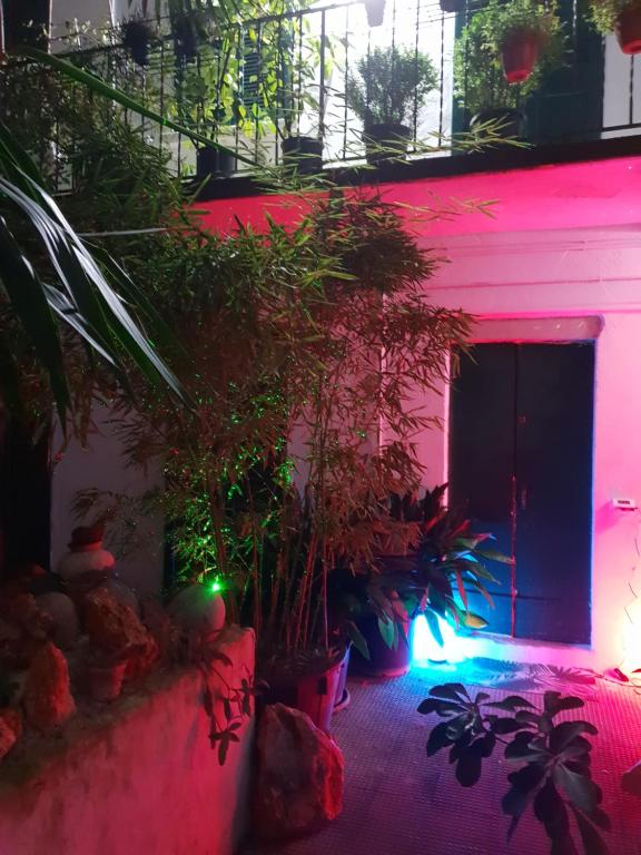 Zahrada ubytování La Casa di Daniele