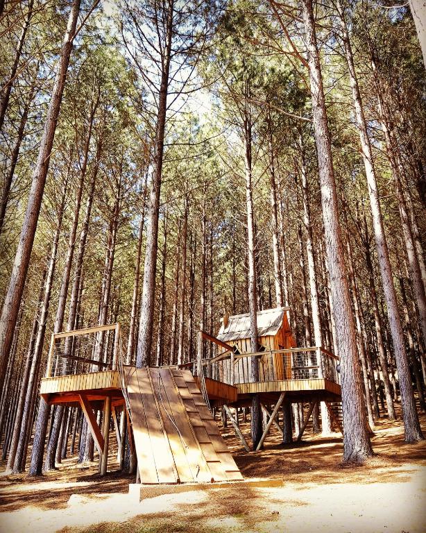  Tedesco EcoPark