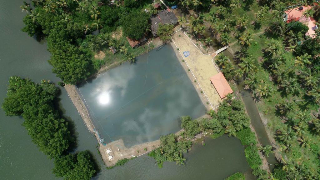 Příroda nedaleko bed and breakfast