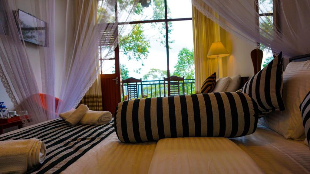 Shining Green View - 15