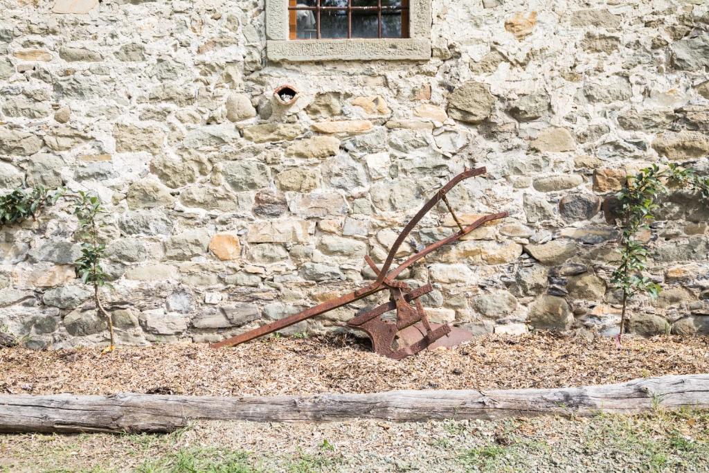 Ogród w obiekcie Agriturismo di là dall'Acqua