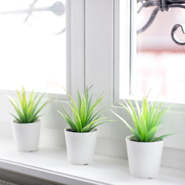 Gîte de l Ange - Au cœur du Centre Ville - 13