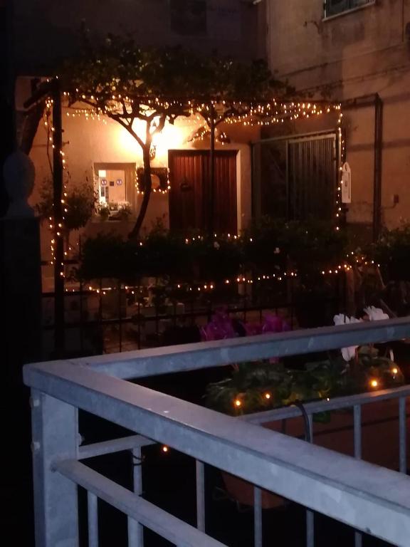 a night view of a garden with christmas lights at Rio Groppo Guesthouse in Manarola