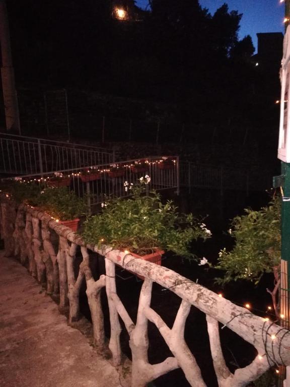 a stone wall with plants on it at night at Rio Groppo Guesthouse in Manarola