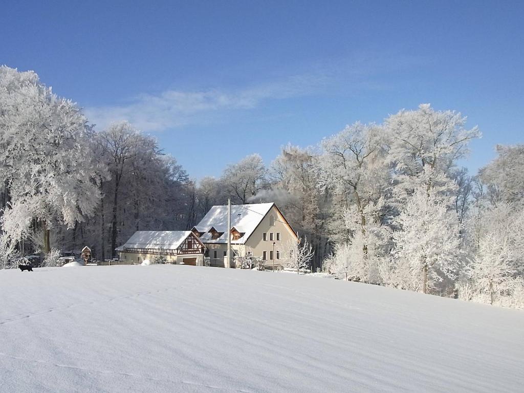 una casa en una colina cubierta de nieve en Ferienhof "Alte Försterei" en Knau