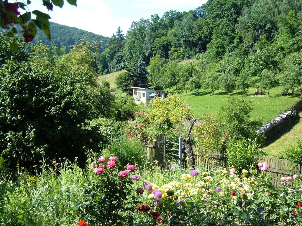 a garden with flowers in front of a house at Ferienwohnungen "allerleigrün" in Langenroda
