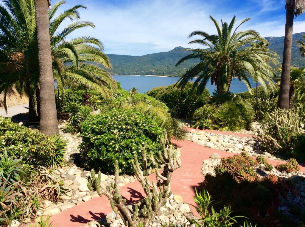 Résidence Figarella - 18