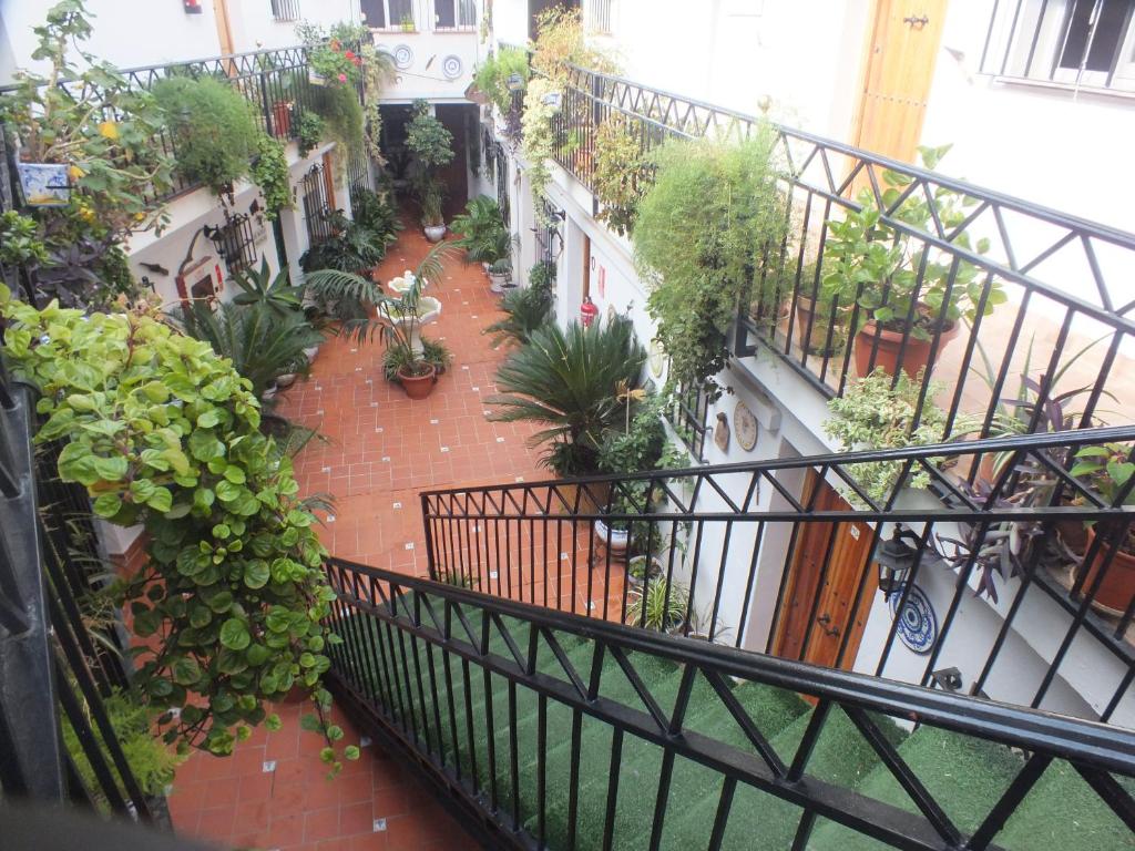 una imagen de un balcón con plantas y flores en Hostal El Patio en Alhaurín de la Torre