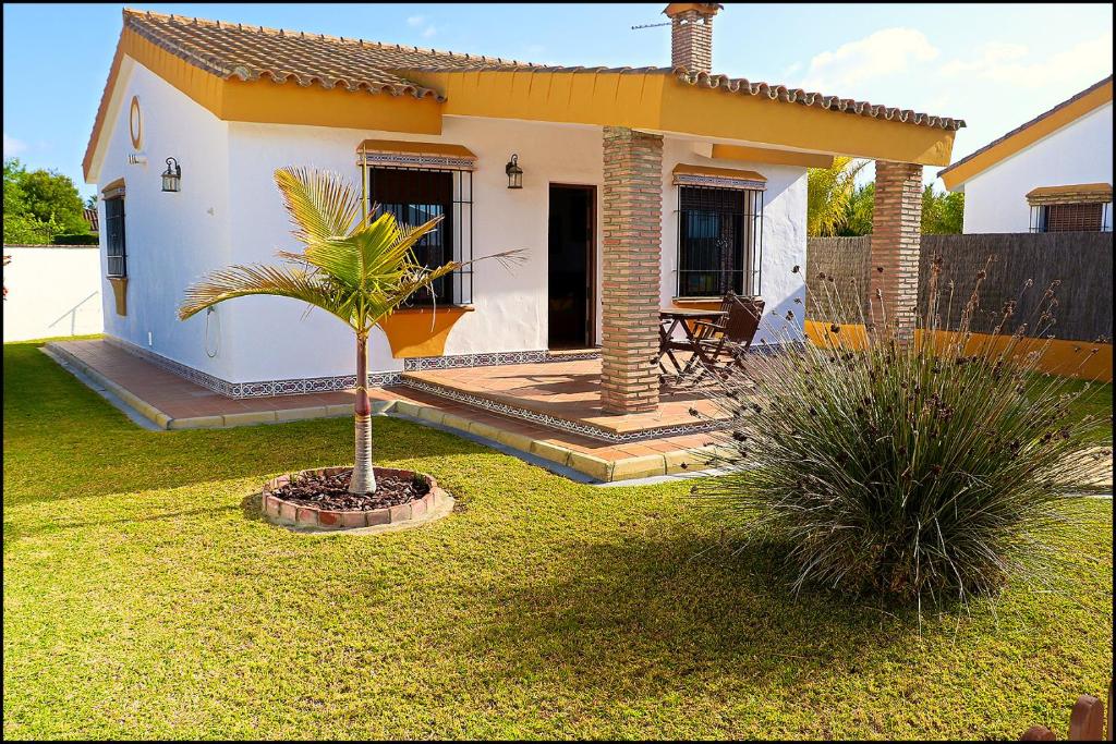 mały domek z palmą w ogrodzie w obiekcie Chalet con piscina privada w mieście Conil de la Frontera