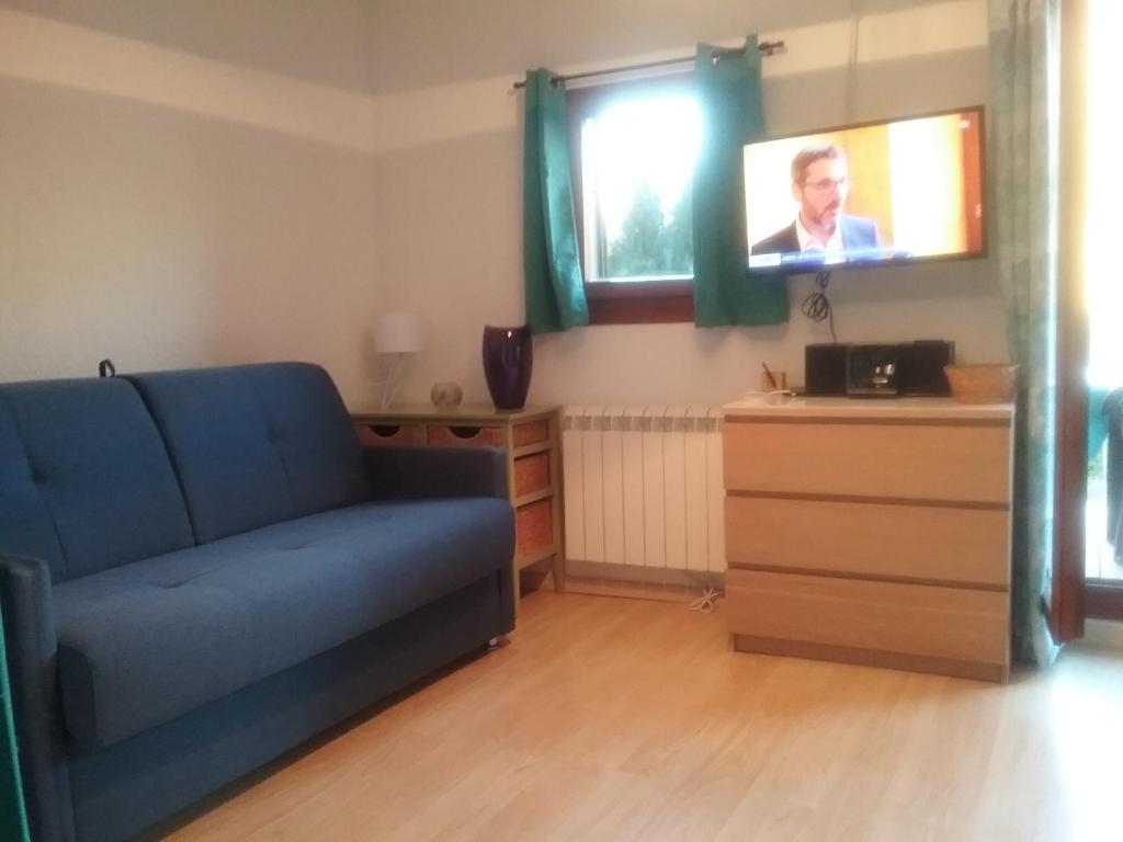 un salon avec un canapé bleu et une télévision dans l'établissement MBS b6, à Manigod