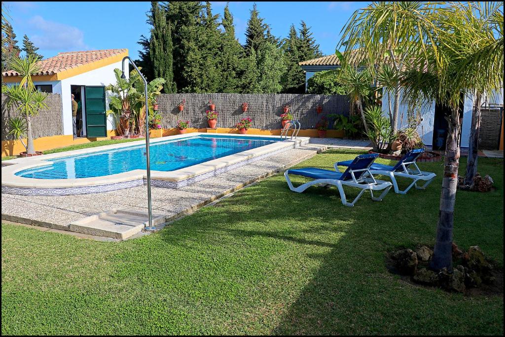 コニル・デ・ラ・フロンテーラにあるChalet con piscina en Roche Viejoの椅子2脚とヤシの木が置かれたプール