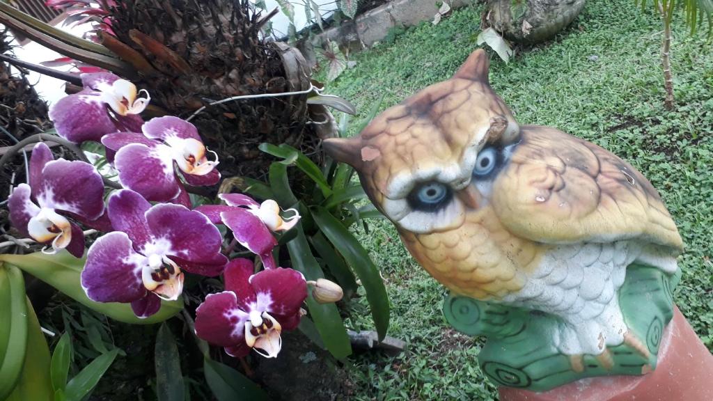 Pousada da Geisa