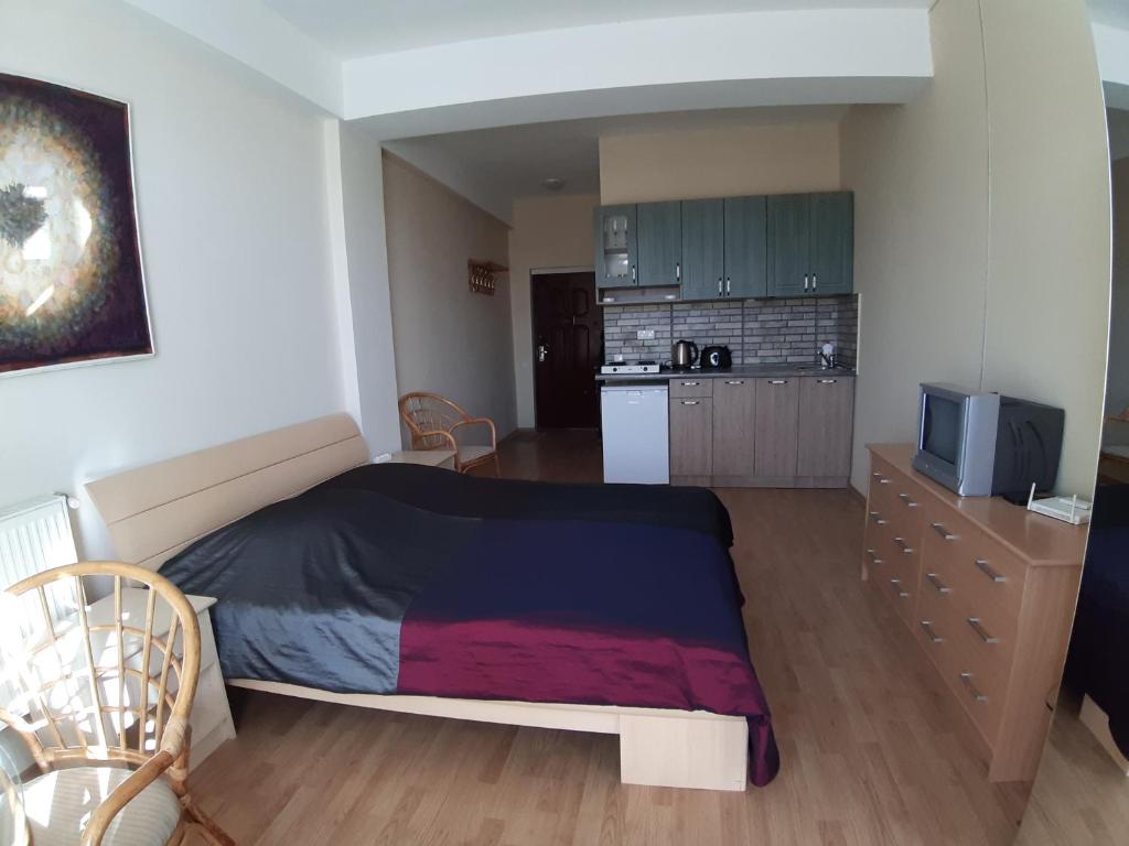 Kuchyň nebo kuchyňský kout v ubytování Apartment N6