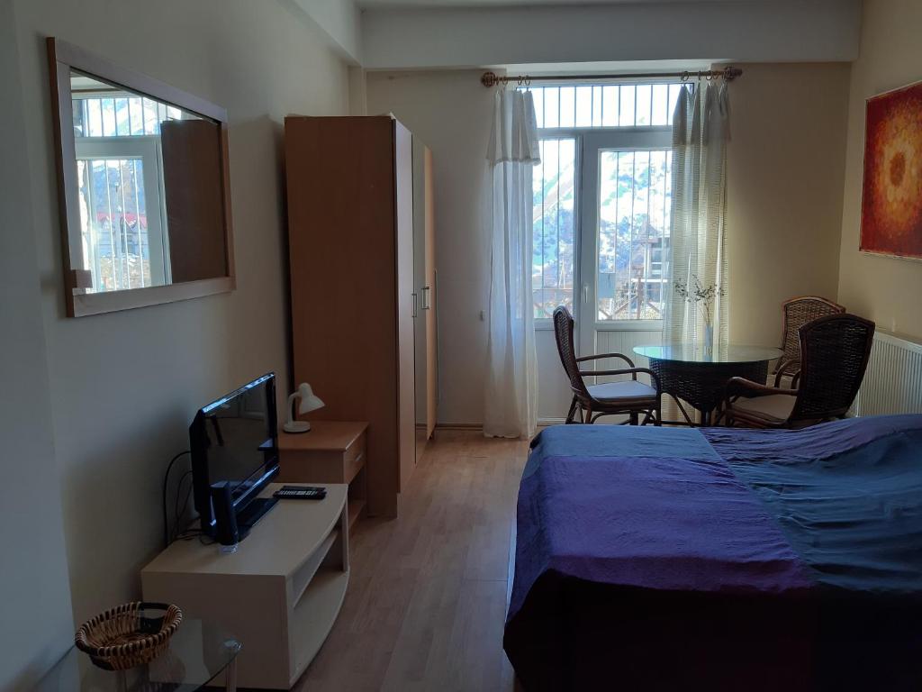 TV a/nebo společenská místnost v ubytování Apartment N 5