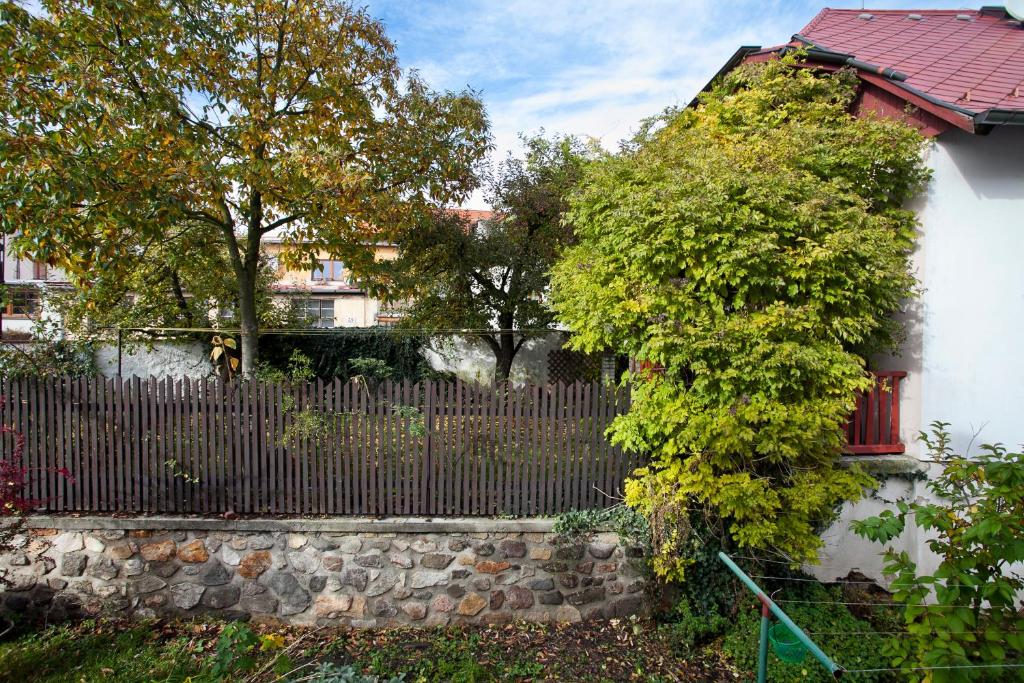 Zahrada ubytování Penzion a restaurace Modrá růže Tábor