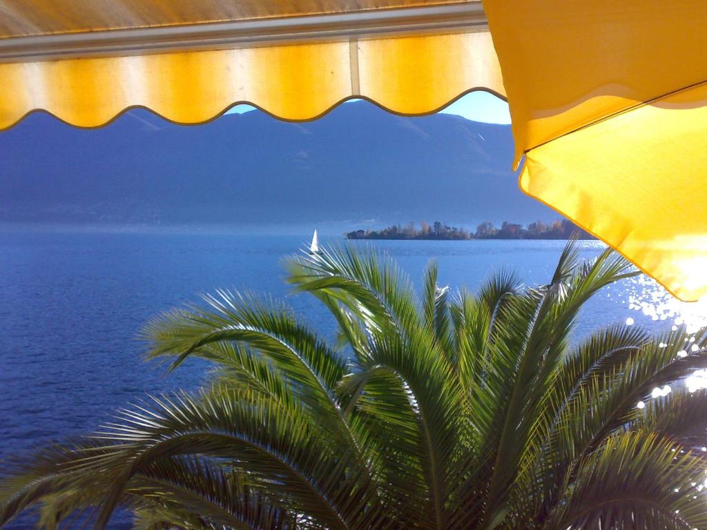 uma vista para uma palmeira e para o oceano em Casa San Martino em Ronco sopra Ascona