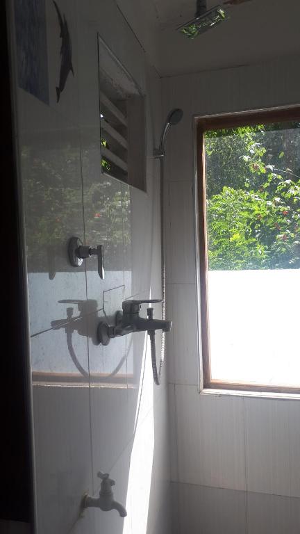 New Farmers Paradise - 12