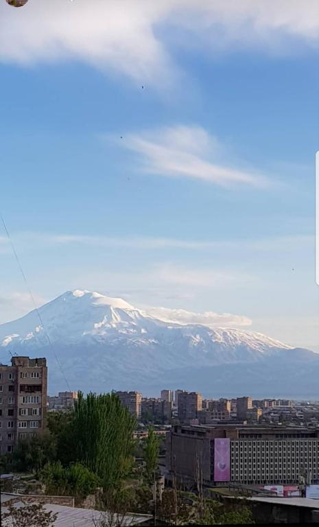NEW Downtown Stylish studio with Mt. Ararat View